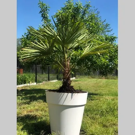 L'echappée Belle Сasa de vacaciones Saint-Amand-les-Eaux